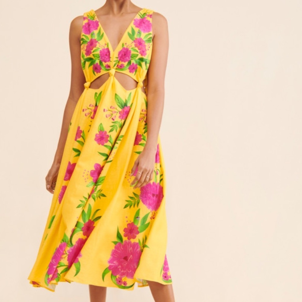 Farm Rio M Romantic Garden Dress Size XS